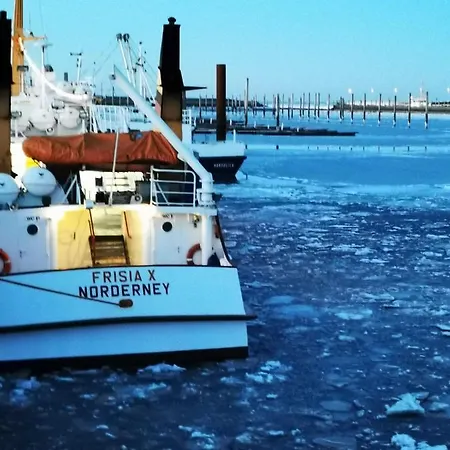 蒂赫尔酒店 酒店 3*