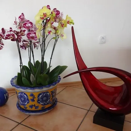 蒂赫尔酒店 酒店 诺德代希