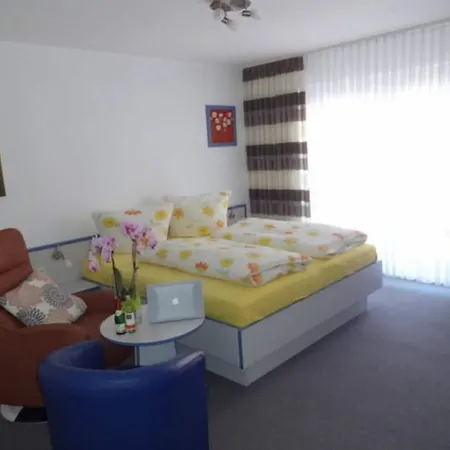 酒店 蒂赫尔酒店